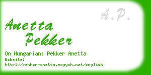 anetta pekker business card